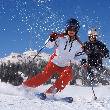 Chalet Bergli Rigi Kaltbad Dış mekan fotoğraf