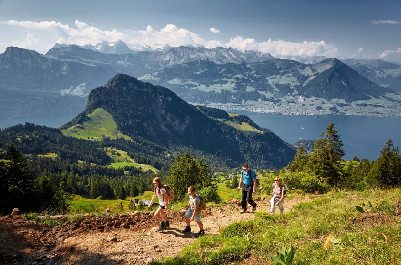 Chalet Bergli Rigi Kaltbad Dış mekan fotoğraf