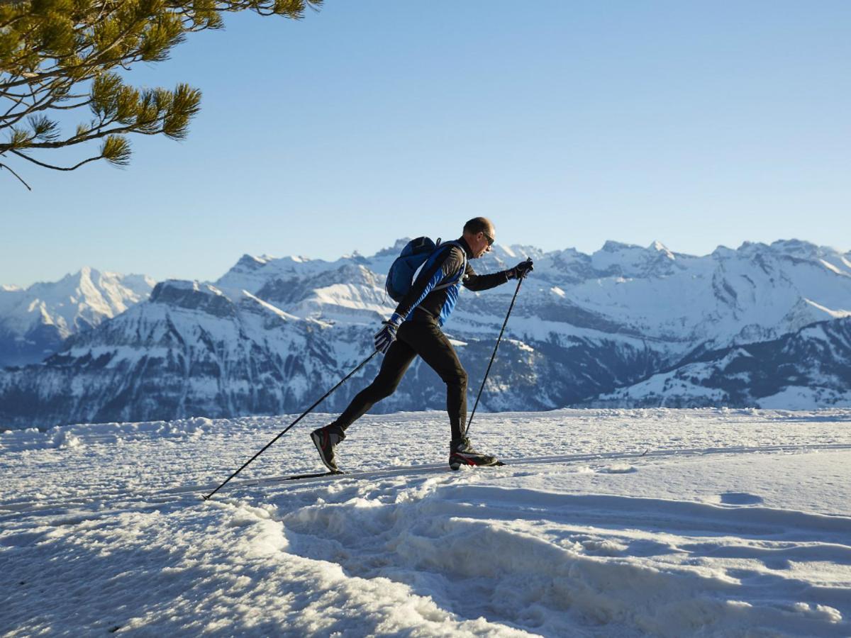 Chalet Bergli Rigi Kaltbad Dış mekan fotoğraf