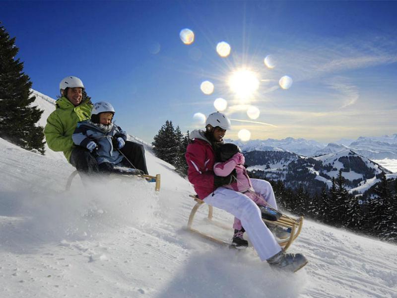 Chalet Bergli Rigi Kaltbad Dış mekan fotoğraf
