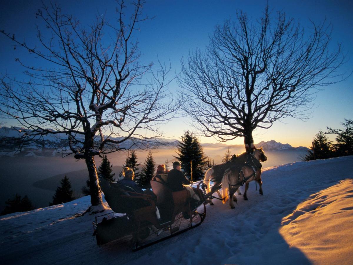 Chalet Bergli Rigi Kaltbad Dış mekan fotoğraf